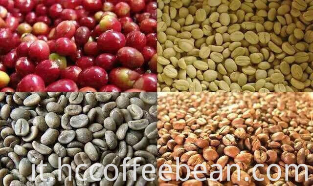 chicchi di caffè verde, chicchi di caffè arabica, chicchi di caffè crudo, fabbrica di caffè